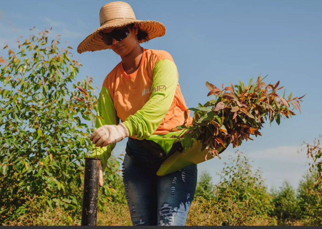 Leia mais sobre o artigo Grupo Atallah celebra 57 anos de história e transformação