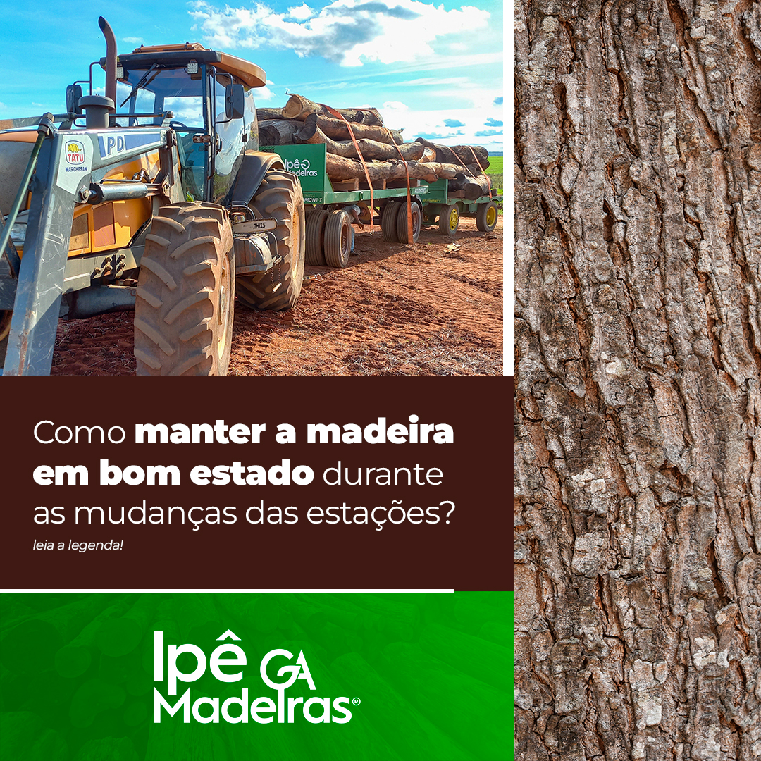 Leia mais sobre o artigo Como manter a madeira em bom estado durante as mudanças das estações